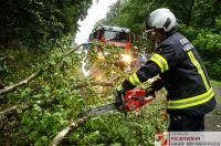 _2024-07-10 Baum über B141 Pramwald-0004